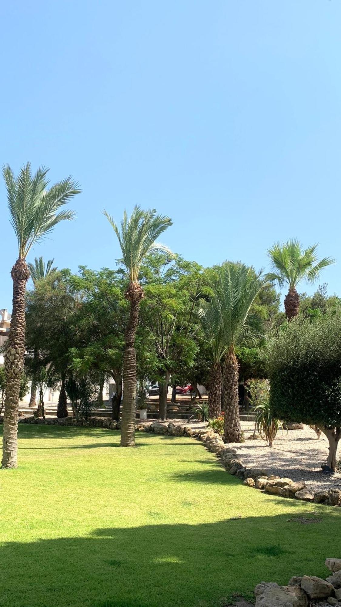Lagovista45 Torrevieja Exterior photo